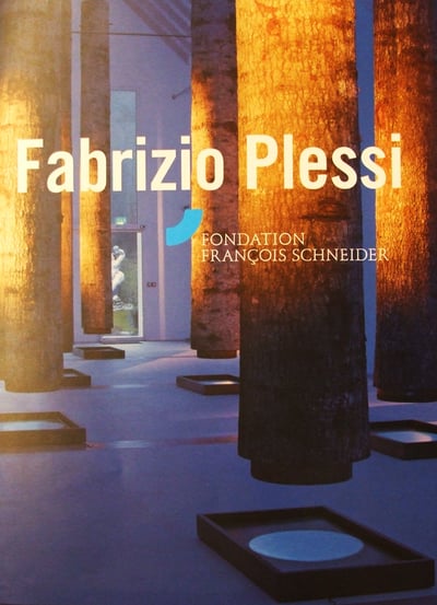 FABRIZIO PLESSI, Fondation Franḉois Schneider – 2014