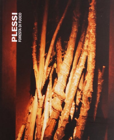 PLESSI, FORESTA DI FUOCO – 2001