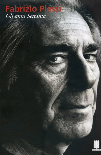FABRIZIO PLESSI, Gli anni 70 – 2014