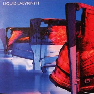 FABRIZIO PLESSI, Liquid labyrinth – 2014