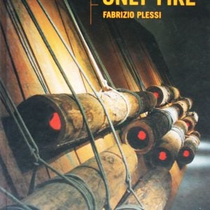 FABRIZIO PLESSI, ONLY FIRE – 2001