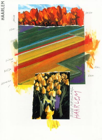 Harleem, Olanda