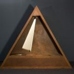 Narcissus