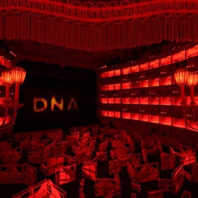 Fenix DNA